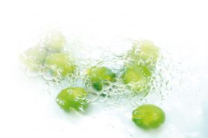 Lime Creations reclame en grafisch ontwerp Brielle